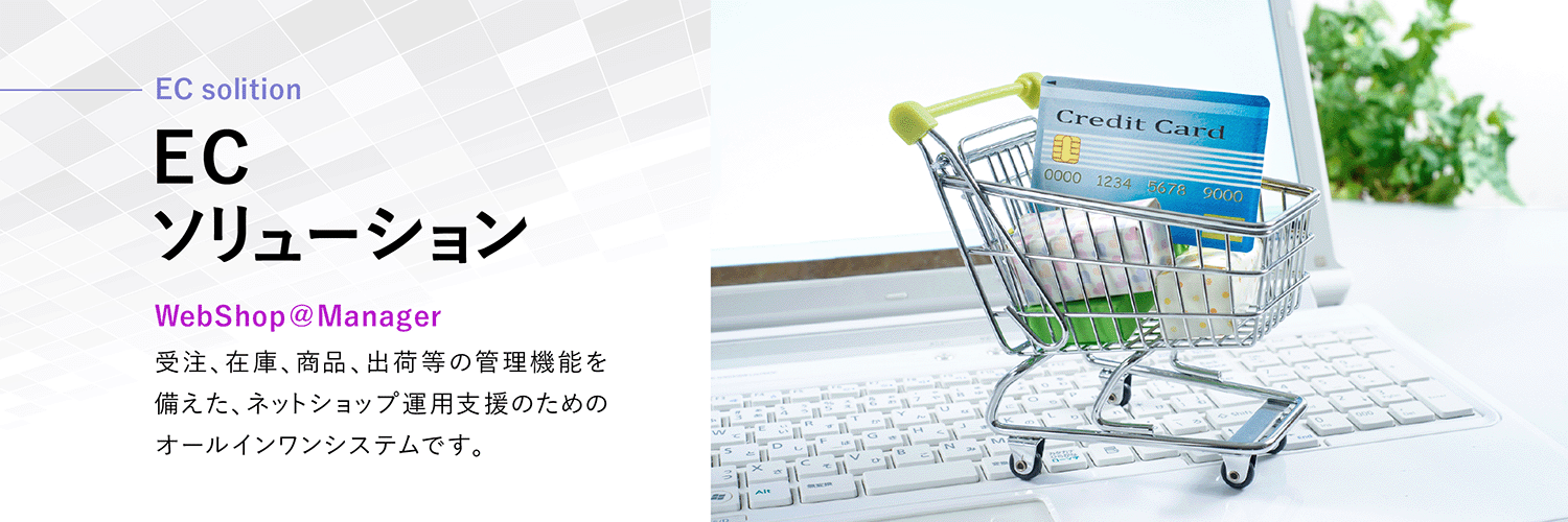 ECソリューション